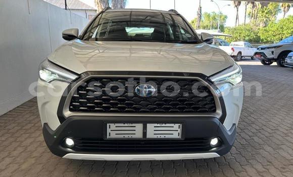 اشتري مستعمل Toyota Corolla Cross White سيارة في Maseru في Maseru اشتري مستعمل Toyota Corolla Cross White سيارة في Maseru في Maseru