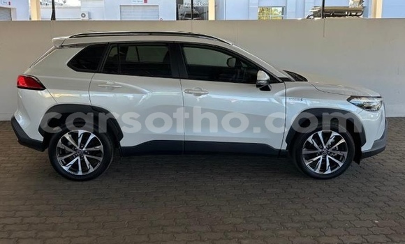 اشتري مستعمل Toyota Corolla Cross White سيارة في Maseru في Maseru اشتري مستعمل Toyota Corolla Cross White سيارة في Maseru في Maseru
