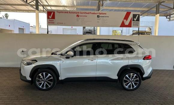 اشتري مستعمل Toyota Corolla Cross White سيارة في Maseru في Maseru اشتري مستعمل Toyota Corolla Cross White سيارة في Maseru في Maseru