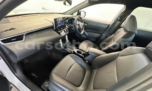 اشتري مستعمل Toyota Corolla Cross White سيارة في Maseru في Maseru اشتري مستعمل Toyota Corolla Cross White سيارة في Maseru في Maseru