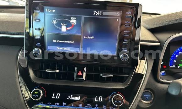 اشتري مستعمل Toyota Corolla Cross White سيارة في Maseru في Maseru اشتري مستعمل Toyota Corolla Cross White سيارة في Maseru في Maseru