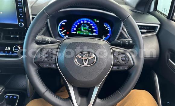 اشتري مستعمل Toyota Corolla Cross White سيارة في Maseru في Maseru اشتري مستعمل Toyota Corolla Cross White سيارة في Maseru في Maseru