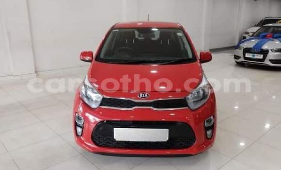 Buy Used Kia Picanto Red Car in Maseru in Maseru Buy Used Kia Picanto Red Car in Maseru in Maseru