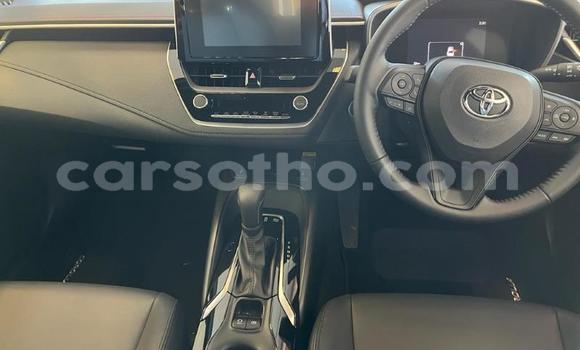 Acheter Occasion Voiture Toyota Corolla Rouge à Maseru, Maseru Acheter Occasion Voiture Toyota Corolla Rouge à Maseru, Maseru