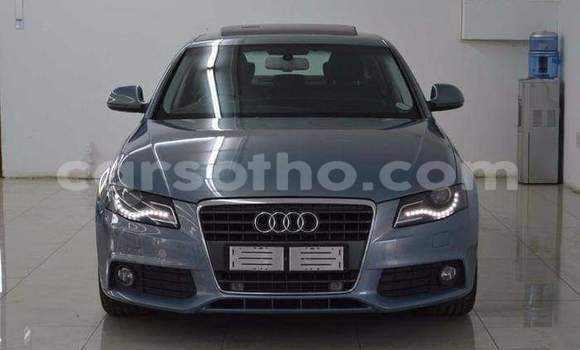 اشتري مستعمل Audi A4 Other سيارة في Maseru في Maseru