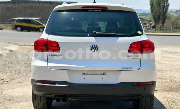 اشتري مستعمل Volkswagen Jetta White سيارة في Mafeteng في Mafeteng اشتري مستعمل Volkswagen Jetta White سيارة في Mafeteng في Mafeteng