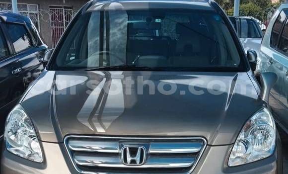 اشتري مستعمل Honda FIT Other سيارة في Maputsoa في Leribe اشتري مستعمل Honda FIT Other سيارة في Maputsoa في Leribe