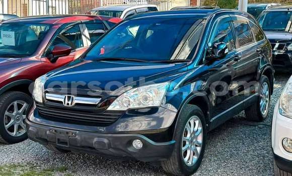 Cars for sale in lesotho - carsotho