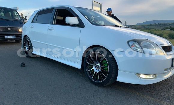 اشتري مستعمل Honda Ballade White سيارة في Maputsoe في Leribe