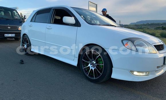 اشتري مستعمل Honda Ballade White سيارة في Maputsoe في Leribe اشتري مستعمل Honda Ballade White سيارة في Maputsoe في Leribe