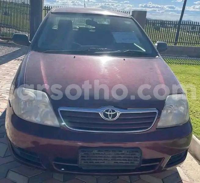 Big with watermark toyota corolla mafeteng mafeteng 27652