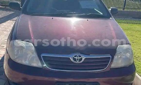اشتري مستعمل Toyota Corolla Red سيارة في Mafeteng في Mafeteng