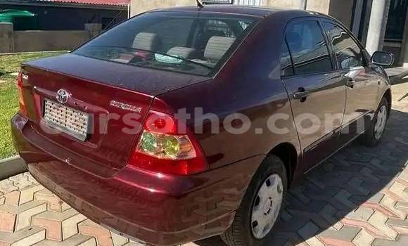 اشتري مستعمل Toyota Corolla Red سيارة في Mafeteng في Mafeteng اشتري مستعمل Toyota Corolla Red سيارة في Mafeteng في Mafeteng
