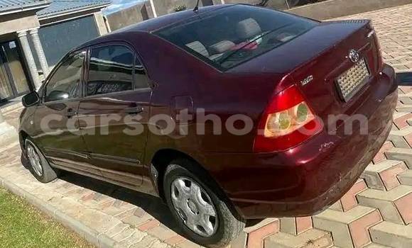 اشتري مستعمل Toyota Corolla Red سيارة في Mafeteng في Mafeteng اشتري مستعمل Toyota Corolla Red سيارة في Mafeteng في Mafeteng