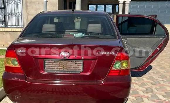 اشتري مستعمل Toyota Corolla Red سيارة في Mafeteng في Mafeteng اشتري مستعمل Toyota Corolla Red سيارة في Mafeteng في Mafeteng