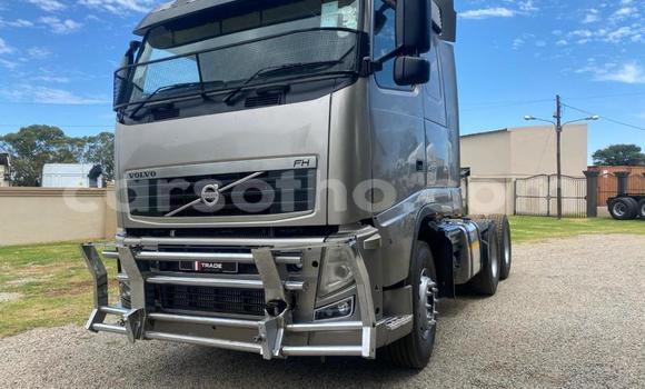 Acheter Occasion Utilitaire Volvo F4 Autre à Maseru, Maseru