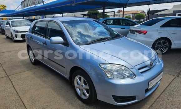 اشتري مستعمل Toyota Runx Blue سيارة في Maseru في Maseru