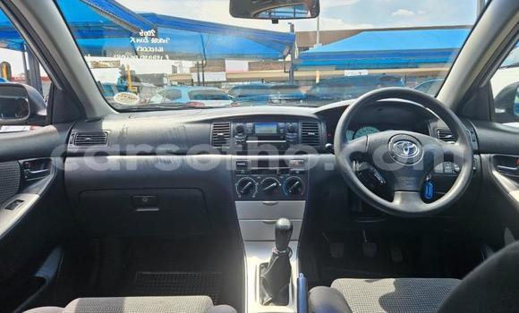 اشتري مستعمل Toyota Runx Blue سيارة في Maseru في Maseru اشتري مستعمل Toyota Runx Blue سيارة في Maseru في Maseru