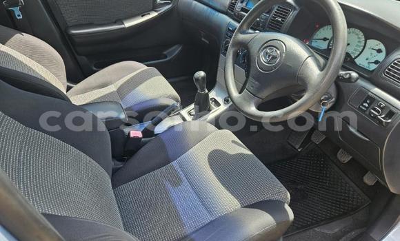 اشتري مستعمل Toyota Runx Blue سيارة في Maseru في Maseru اشتري مستعمل Toyota Runx Blue سيارة في Maseru في Maseru