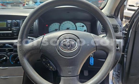 اشتري مستعمل Toyota Runx Blue سيارة في Maseru في Maseru اشتري مستعمل Toyota Runx Blue سيارة في Maseru في Maseru