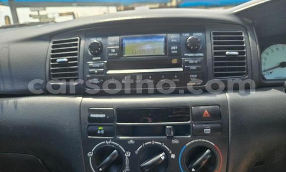 اشتري مستعمل Toyota Runx Blue سيارة في Maseru في Maseru اشتري مستعمل Toyota Runx Blue سيارة في Maseru في Maseru