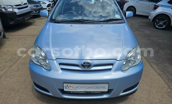 اشتري مستعمل Toyota Runx Blue سيارة في Maseru في Maseru اشتري مستعمل Toyota Runx Blue سيارة في Maseru في Maseru