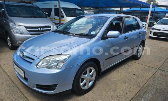 اشتري مستعمل Toyota Runx Blue سيارة في Maseru في Maseru اشتري مستعمل Toyota Runx Blue سيارة في Maseru في Maseru