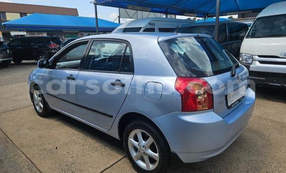 اشتري مستعمل Toyota Runx Blue سيارة في Maseru في Maseru اشتري مستعمل Toyota Runx Blue سيارة في Maseru في Maseru