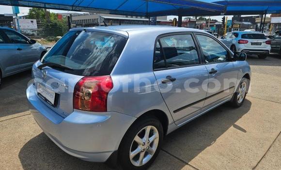 اشتري مستعمل Toyota Runx Blue سيارة في Maseru في Maseru اشتري مستعمل Toyota Runx Blue سيارة في Maseru في Maseru