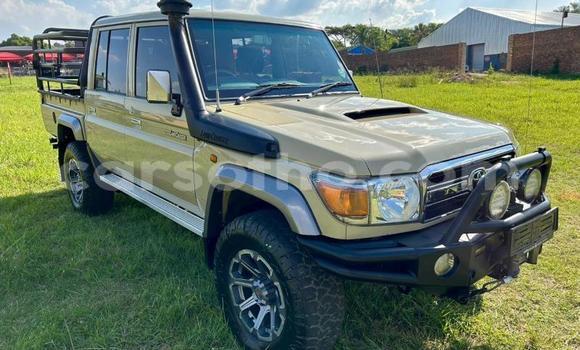 Acheter Occasion Voiture Toyota Land Cruiser Autre à Maseru, Maseru