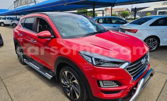 اشتري مستعمل Hyundai Tucson Other سيارة في Maseru في Maseru