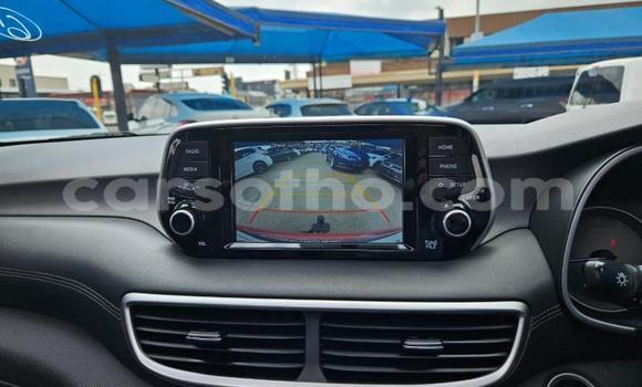 Acheter Occasion Voiture Hyundai Tucson Autre à Maseru, Maseru Acheter Occasion Voiture Hyundai Tucson Autre à Maseru, Maseru