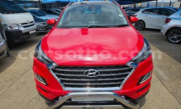 Acheter Occasion Voiture Hyundai Tucson Autre à Maseru, Maseru Acheter Occasion Voiture Hyundai Tucson Autre à Maseru, Maseru