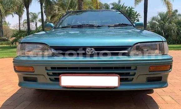 Buy Used Toyota Corolla Green Car in Maseru in Maseru