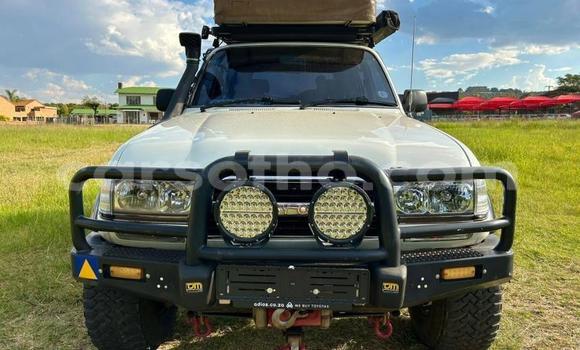 اشتري مستعمل Toyota Land Cruiser Other سيارة في Maseru في Maseru اشتري مستعمل Toyota Land Cruiser Other سيارة في Maseru في Maseru