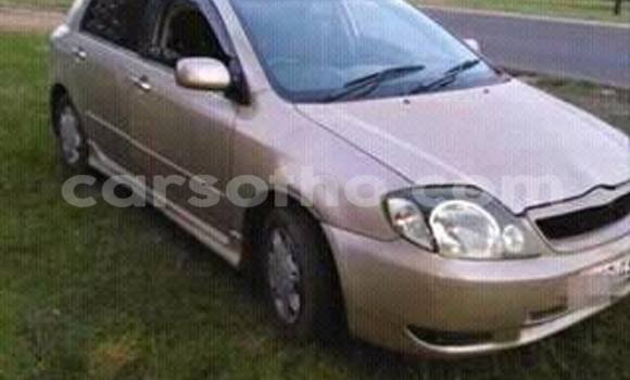 Sayi Na hannu Toyota Runx Other Mota in Maseru a Maseru