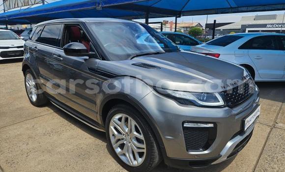Buy Used Range Rover Evoque Other Car in Maseru in Maseru