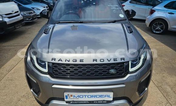Buy Used Range Rover Evoque Other Car in Maseru in Maseru Buy Used Range Rover Evoque Other Car in Maseru in Maseru