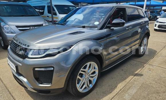 Buy Used Range Rover Evoque Other Car in Maseru in Maseru Buy Used Range Rover Evoque Other Car in Maseru in Maseru