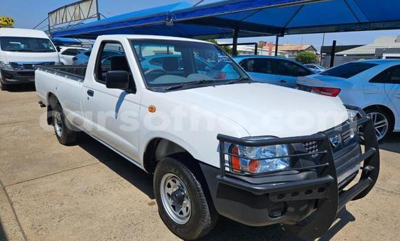 اشتري مستعمل Nissan Hardbody White سيارة في Maseru في Maseru