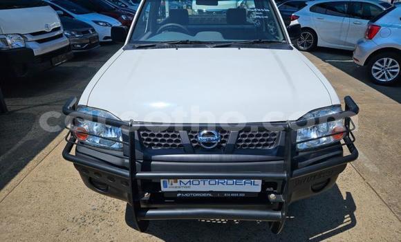 اشتري مستعمل Nissan Hardbody White سيارة في Maseru في Maseru اشتري مستعمل Nissan Hardbody White سيارة في Maseru في Maseru