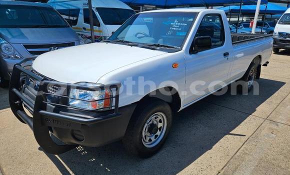 اشتري مستعمل Nissan Hardbody White سيارة في Maseru في Maseru اشتري مستعمل Nissan Hardbody White سيارة في Maseru في Maseru