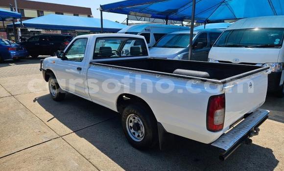 اشتري مستعمل Nissan Hardbody White سيارة في Maseru في Maseru اشتري مستعمل Nissan Hardbody White سيارة في Maseru في Maseru
