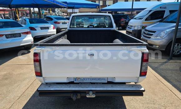 اشتري مستعمل Nissan Hardbody White سيارة في Maseru في Maseru اشتري مستعمل Nissan Hardbody White سيارة في Maseru في Maseru