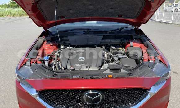 Buy Used Mazda CX-5 Red Car in Maseru in Maseru Buy Used Mazda CX-5 Red Car in Maseru in Maseru