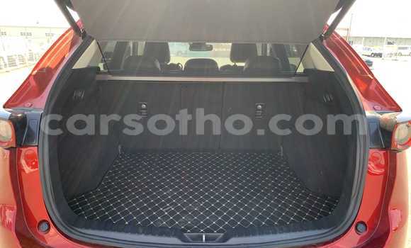 Buy Used Mazda CX-5 Red Car in Maseru in Maseru Buy Used Mazda CX-5 Red Car in Maseru in Maseru