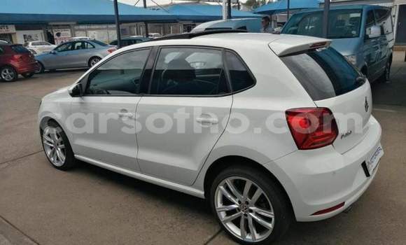 اشتري مستعمل Volkswagen Polo White سيارة في Maseru في Maseru اشتري مستعمل Volkswagen Polo White سيارة في Maseru في Maseru