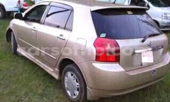 Sayi Na hannu Toyota Runx Other Mota in Maseru a Maseru Sayi Na hannu Toyota Runx Other Mota in Maseru a Maseru