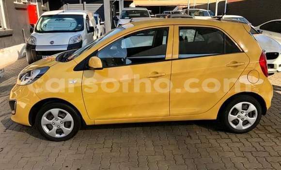 اشتري مستعمل Kia Picanto Other سيارة في Maseru في Maseru اشتري مستعمل Kia Picanto Other سيارة في Maseru في Maseru