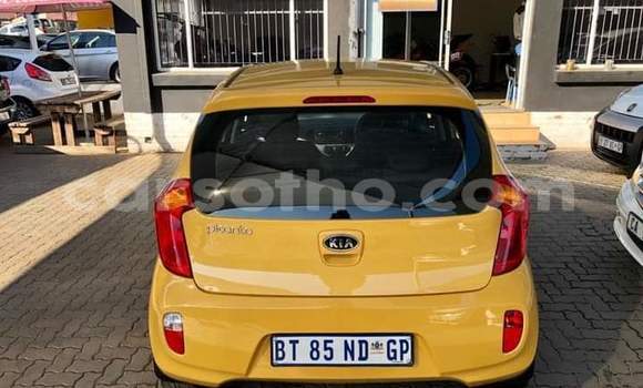 اشتري مستعمل Kia Picanto Other سيارة في Maseru في Maseru اشتري مستعمل Kia Picanto Other سيارة في Maseru في Maseru
